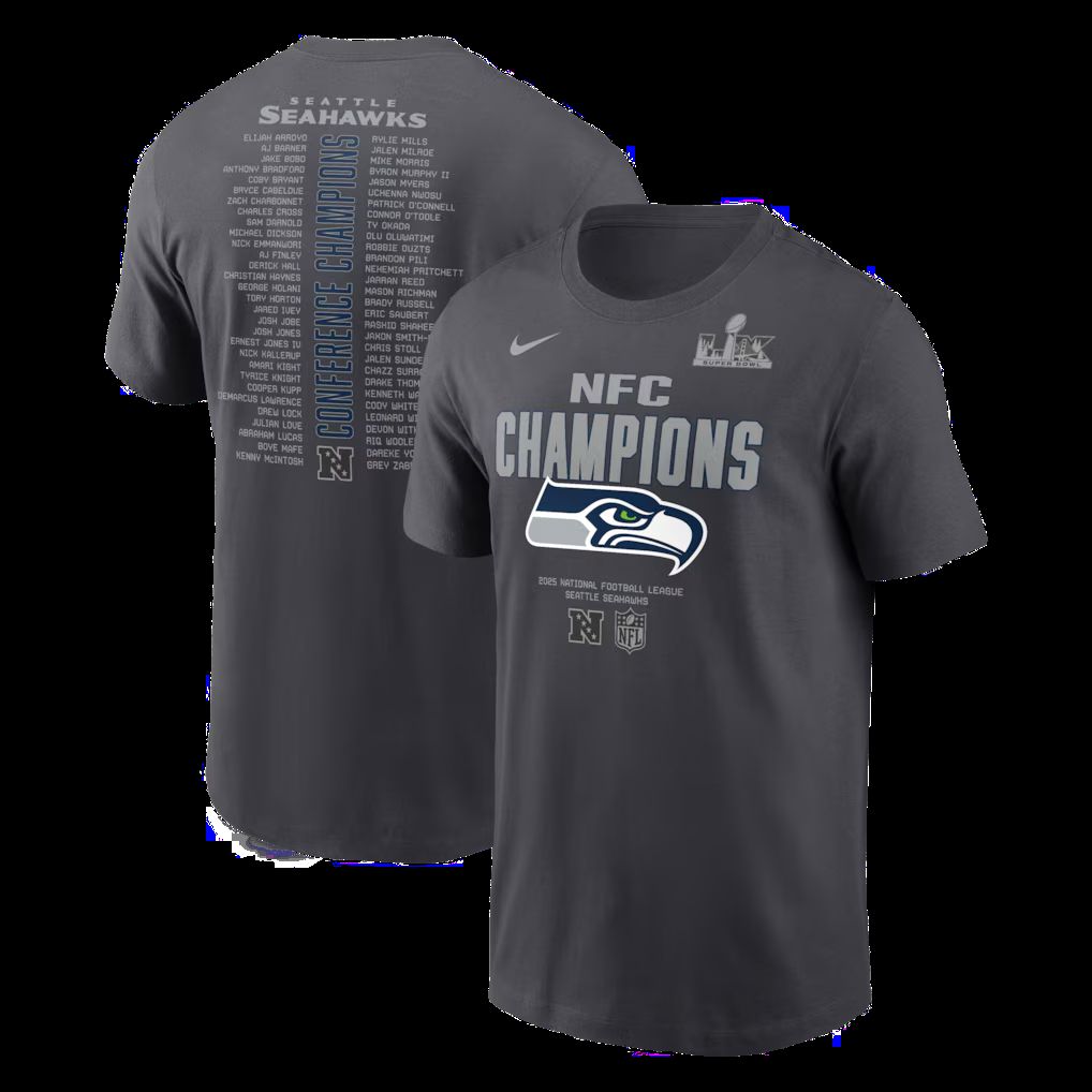 Men 2026 NFL Seattle Seahawks T-shirt grey 015